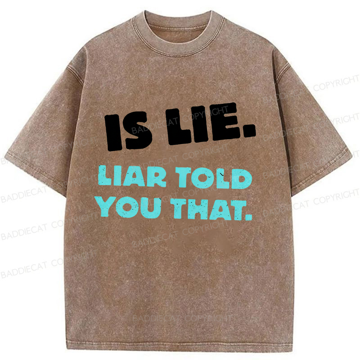 Baddiecat Is Lie Liar Told You That Washed T-shirt