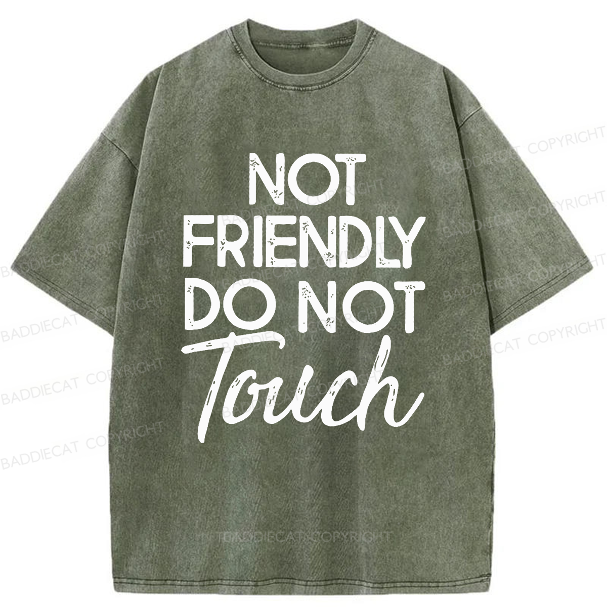 Baddiecat Not Friendly Do Not Touch Washed T-shirt