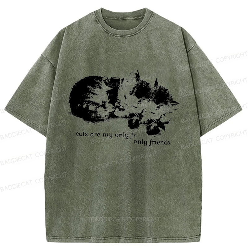 Baddiecat Cats Are My Only Friends Washed T-Shirt