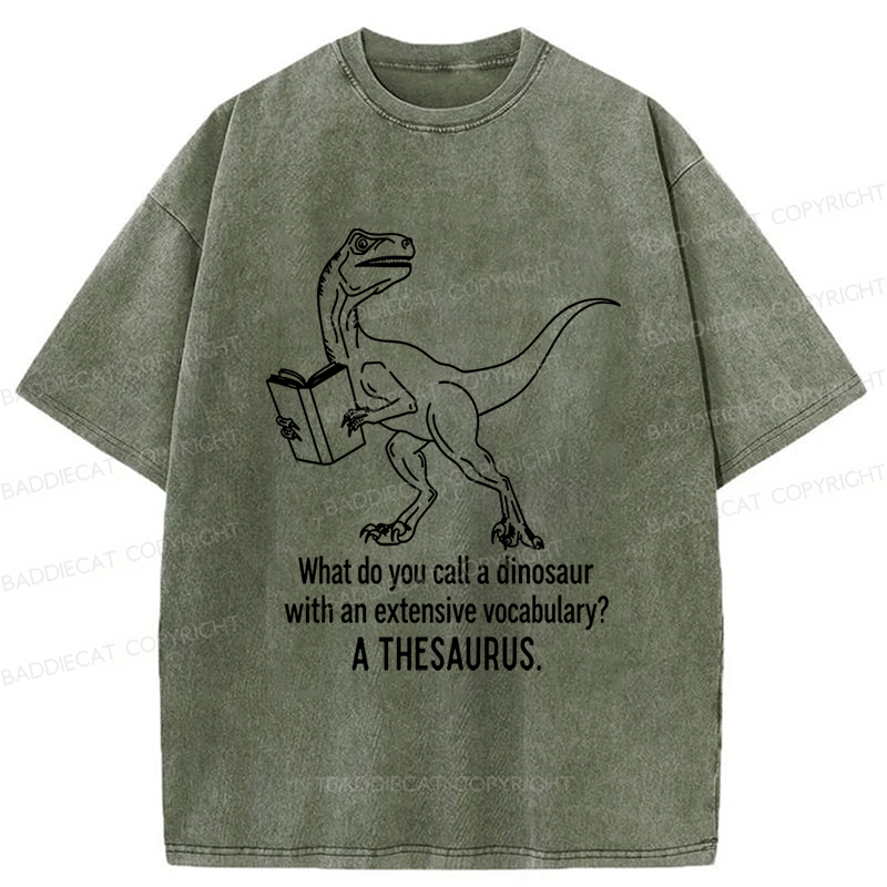 Baddiecat A Thesaurus Washed T-shirt