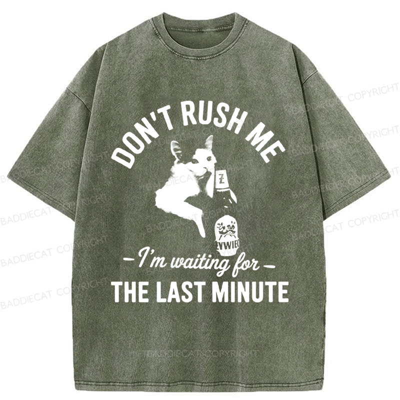Baddiecat Cat Don't Rush Me Washed T-shirt