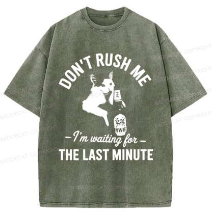 Baddiecat Cat Don't Rush Me Washed T-shirt