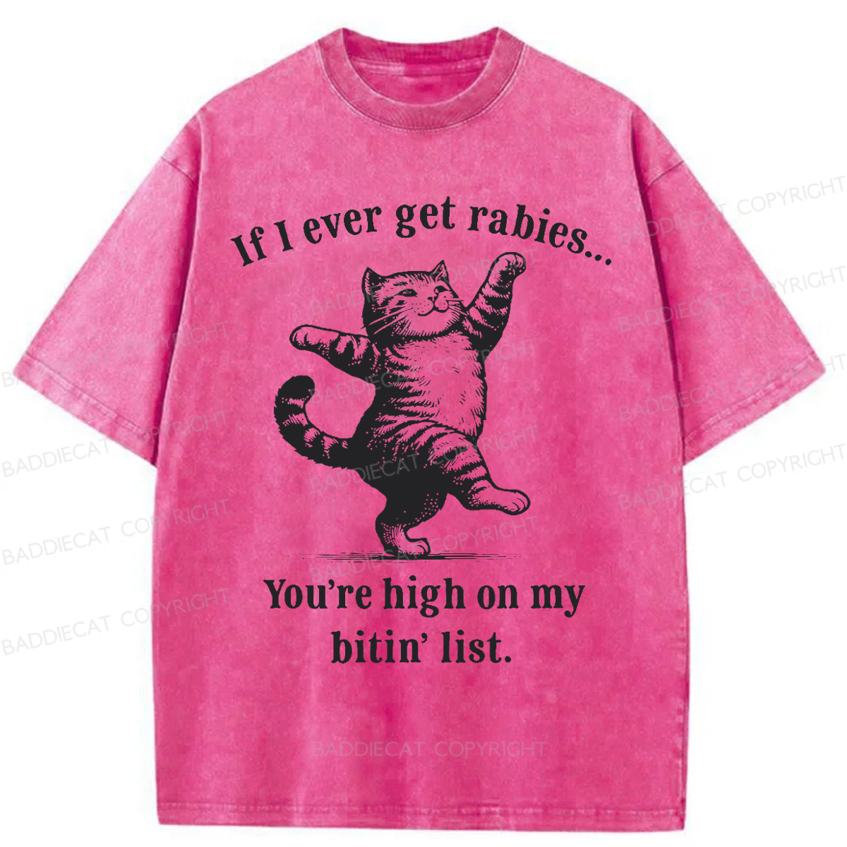 Baddiecat If I Ever Get Rabies You’re High On My Bitin’ List Washed T-shirt