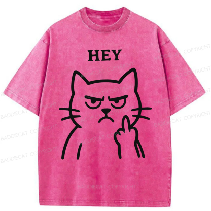 Baddiecat Hey Funny Cat Washed T-shirt