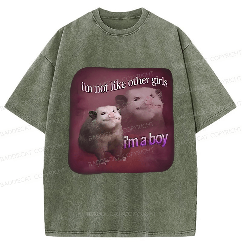 Baddiecat I'm Not Like Other Girls I'm A Boy Possum Washed T-shirt