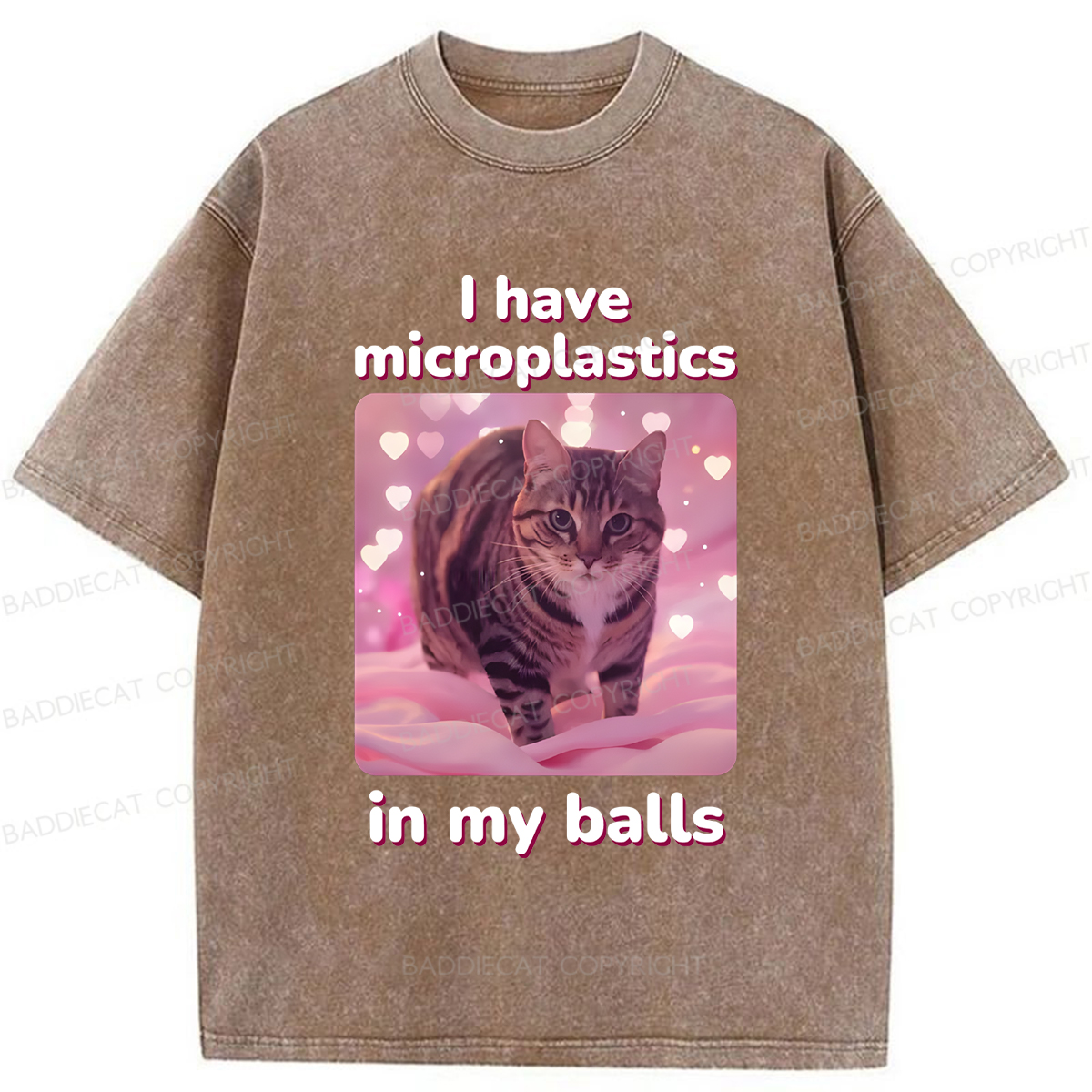 Baddiecat I Have Microplastics In My Balls Washed T-shirt