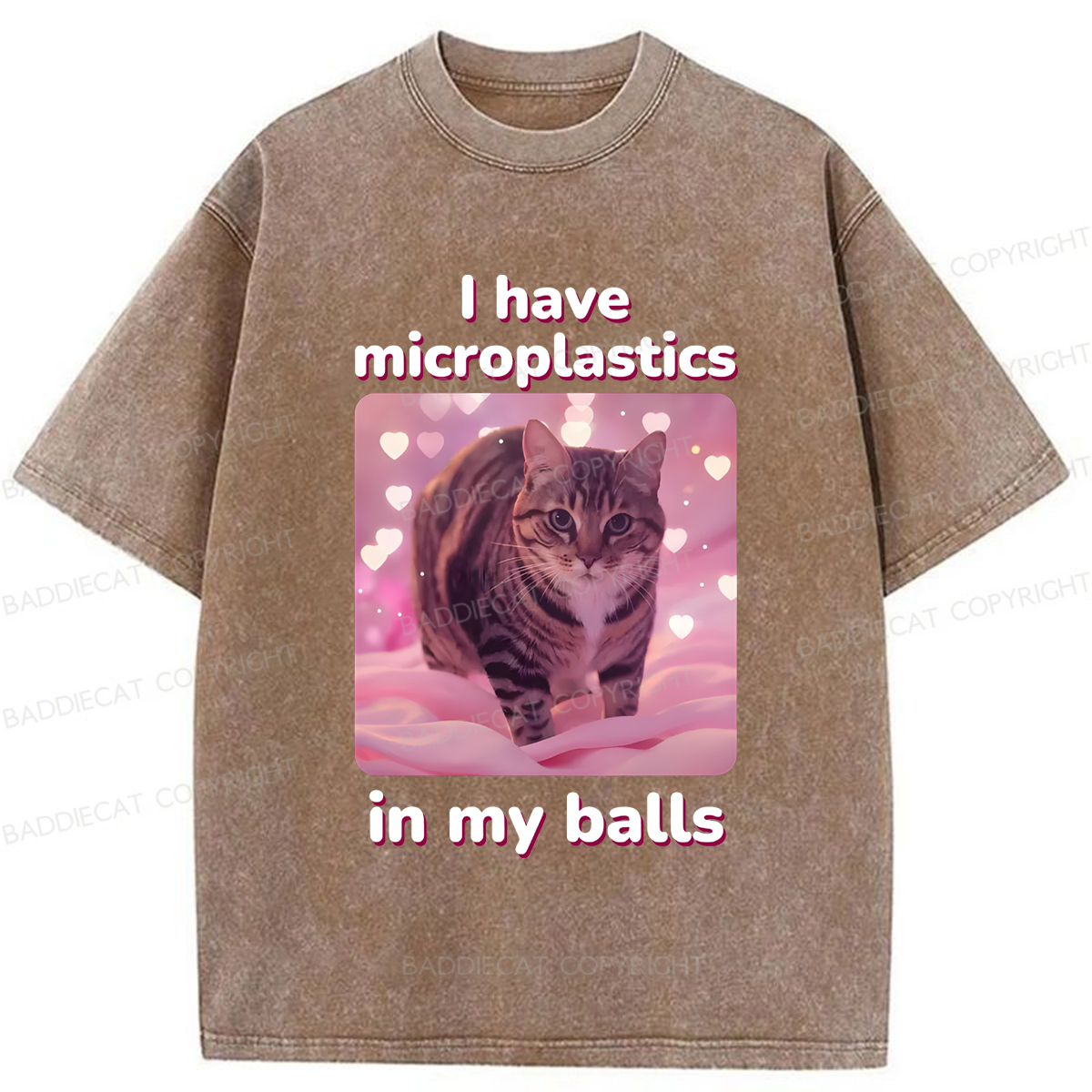 Baddiecat I Have Microplastics In My Balls Washed T-shirt
