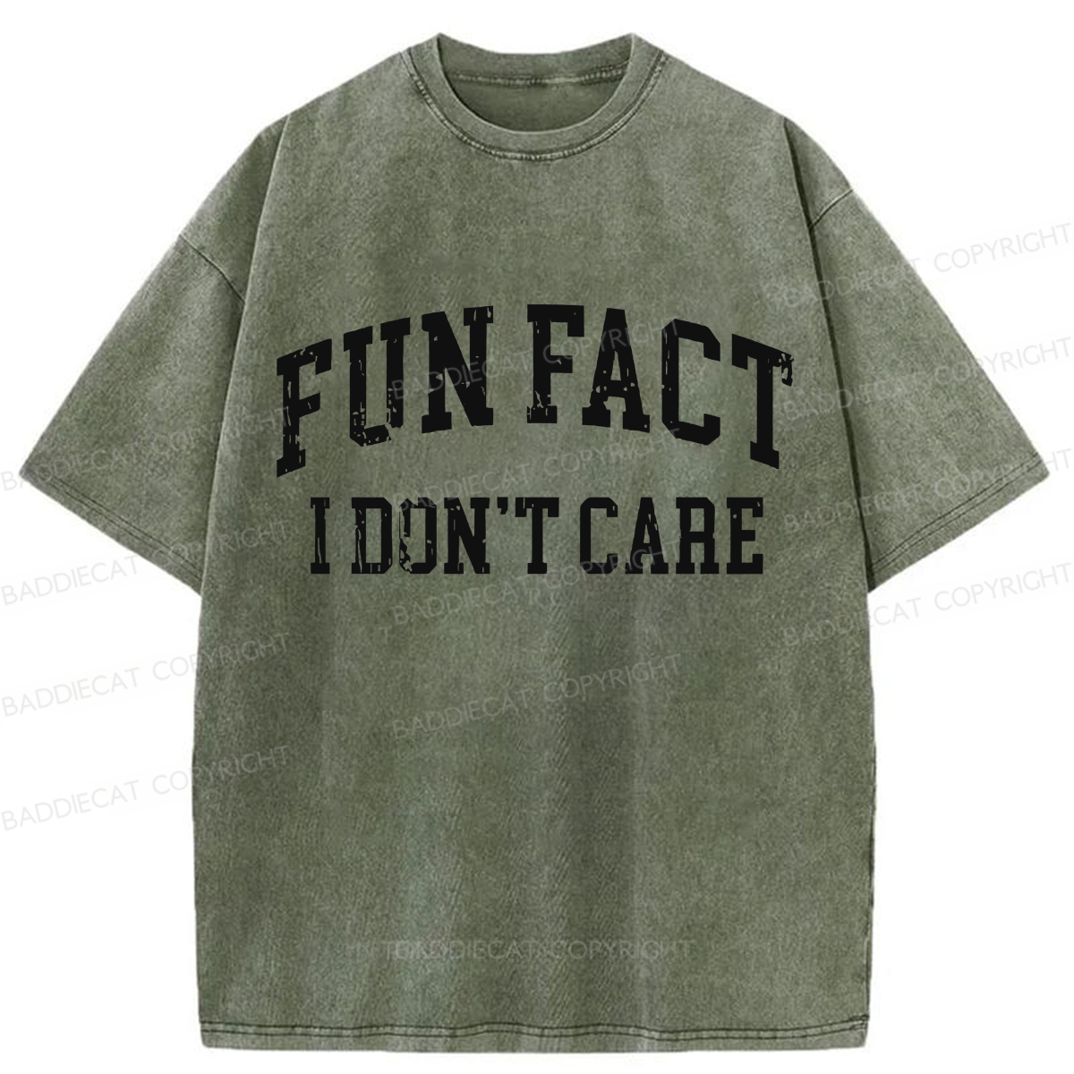 Baddiecat Fun Fact I Don't Care Washed T-shirt
