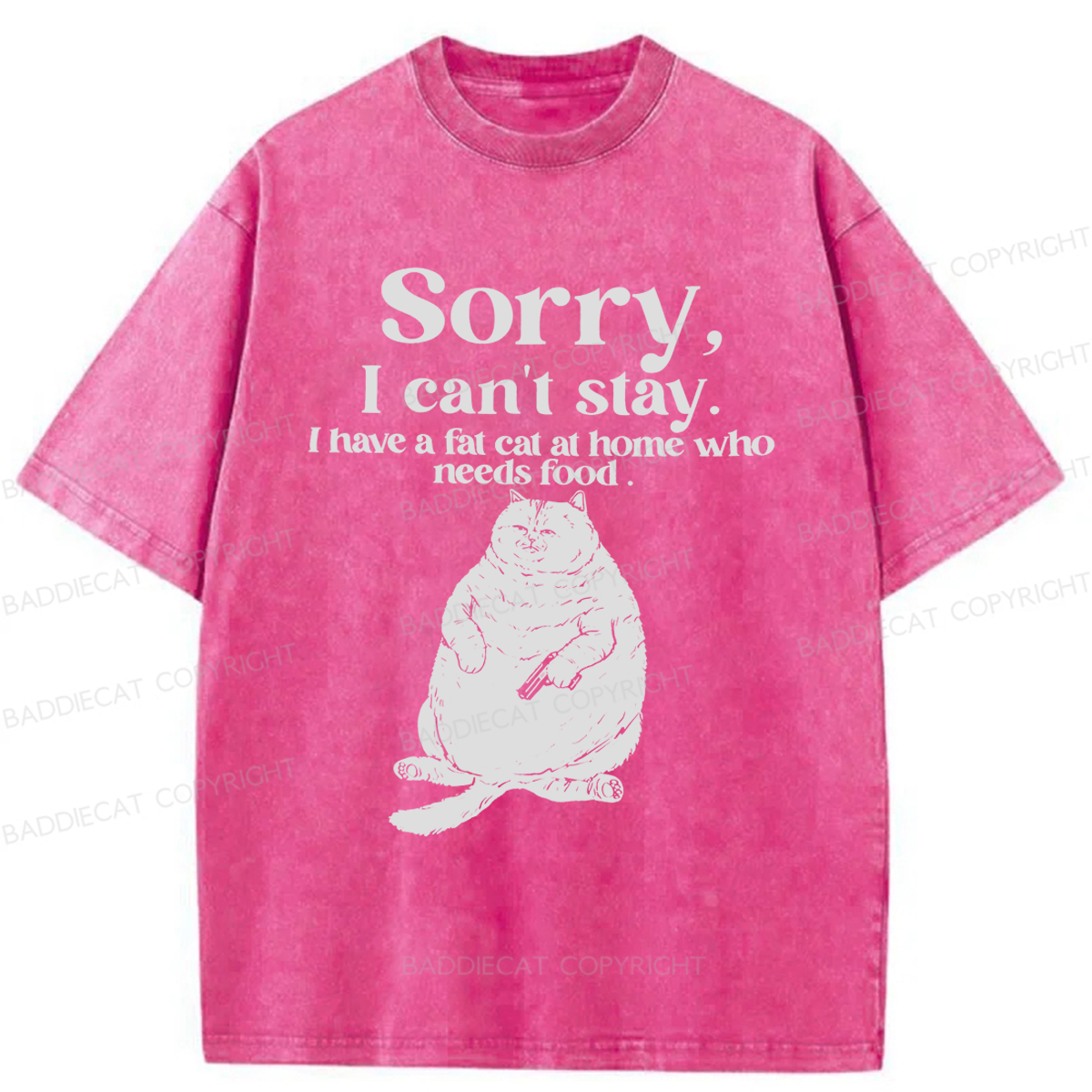 Baddiecat Sorry I Can't Stay Washed T-shirt