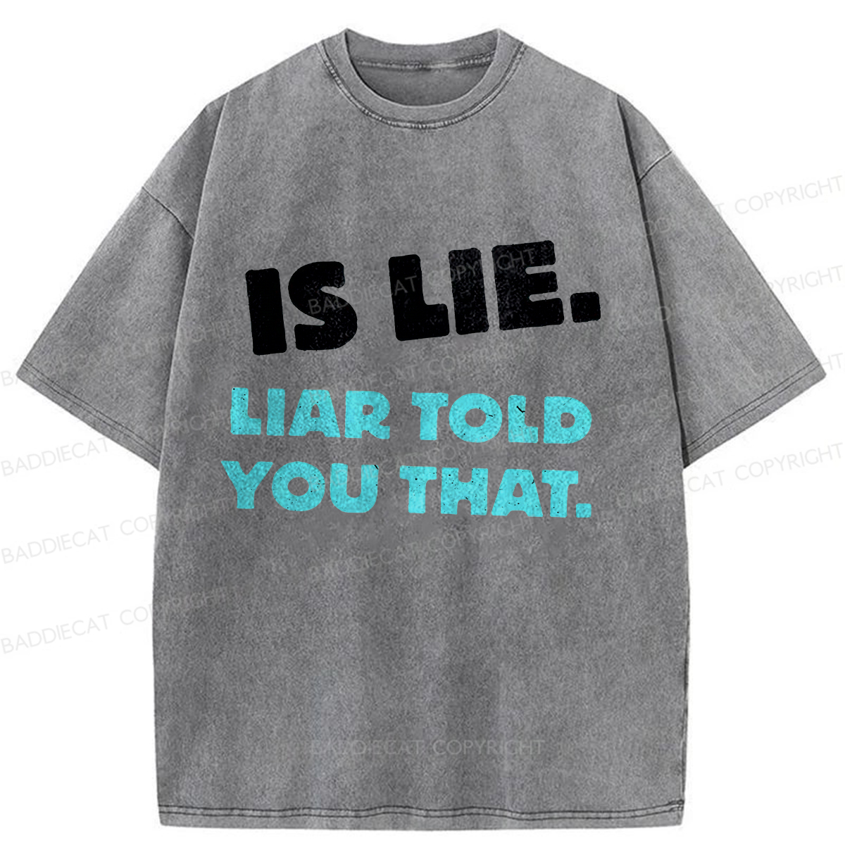 Baddiecat Is Lie Liar Told You That Washed T-shirt