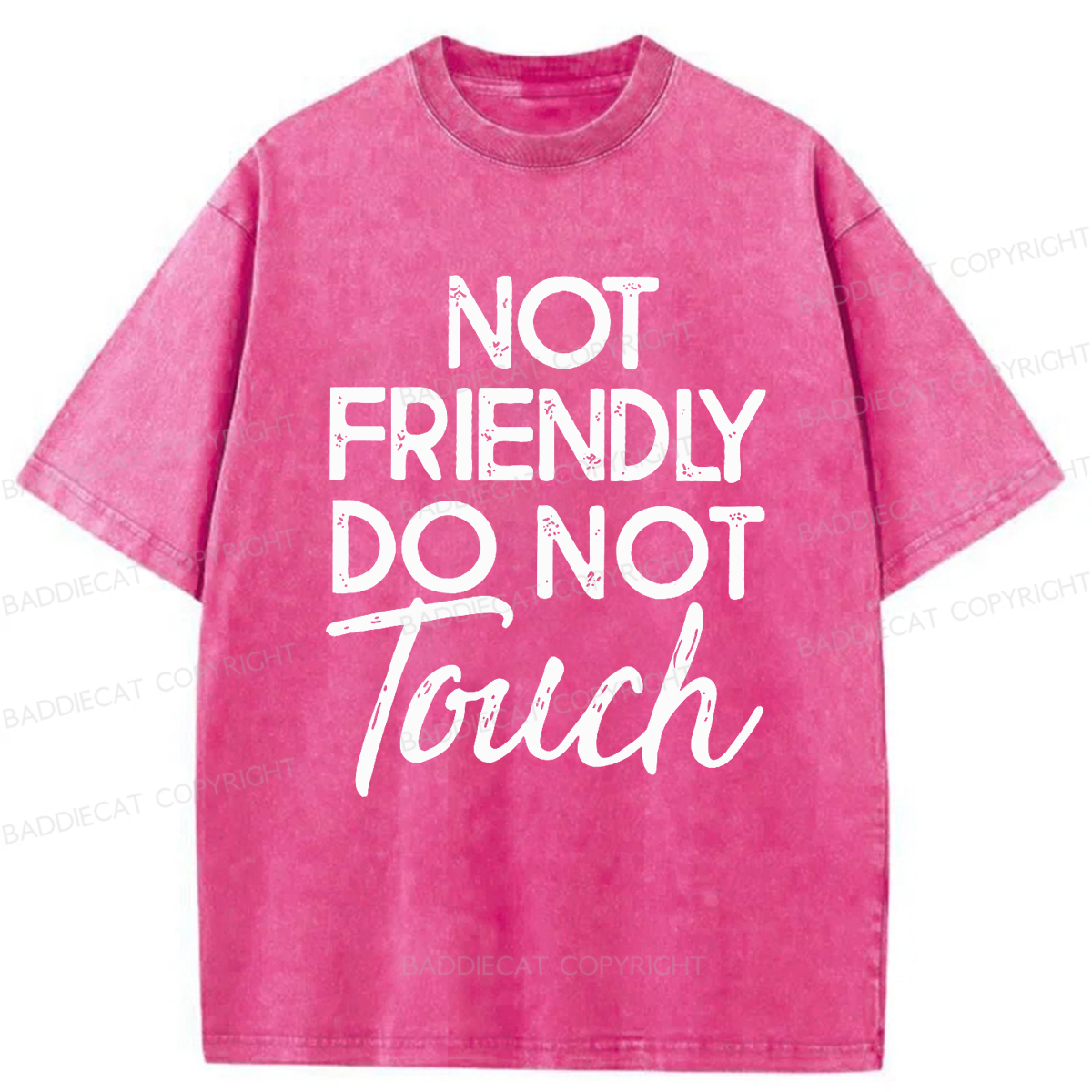 Baddiecat Not Friendly Do Not Touch Washed T-shirt