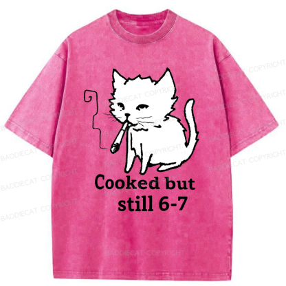 Baddiecat Cat Smoking Cooked But Still 6-7 Washed T-shirt