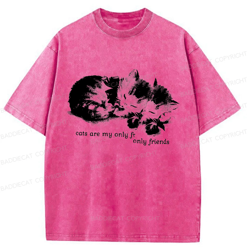 Baddiecat Cats Are My Only Friends Washed T-Shirt