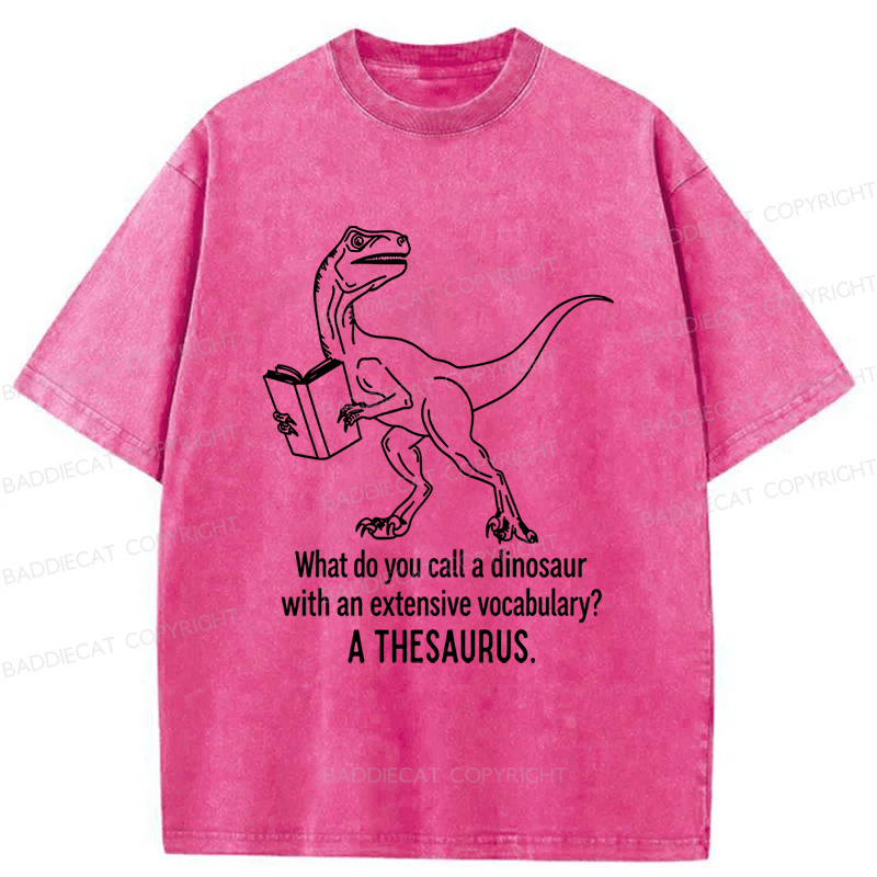 Baddiecat A Thesaurus Washed T-shirt