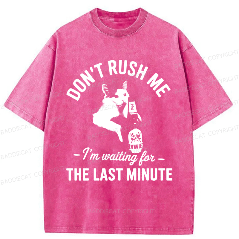 Baddiecat Cat Don't Rush Me Washed T-shirt