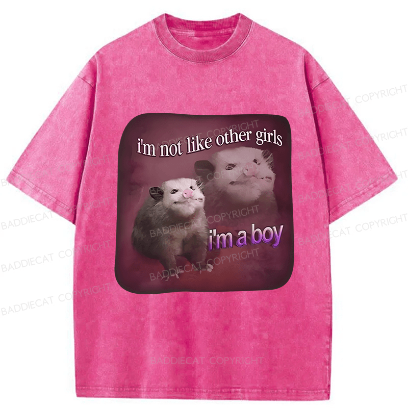 Baddiecat I'm Not Like Other Girls I'm A Boy Possum Washed T-shirt