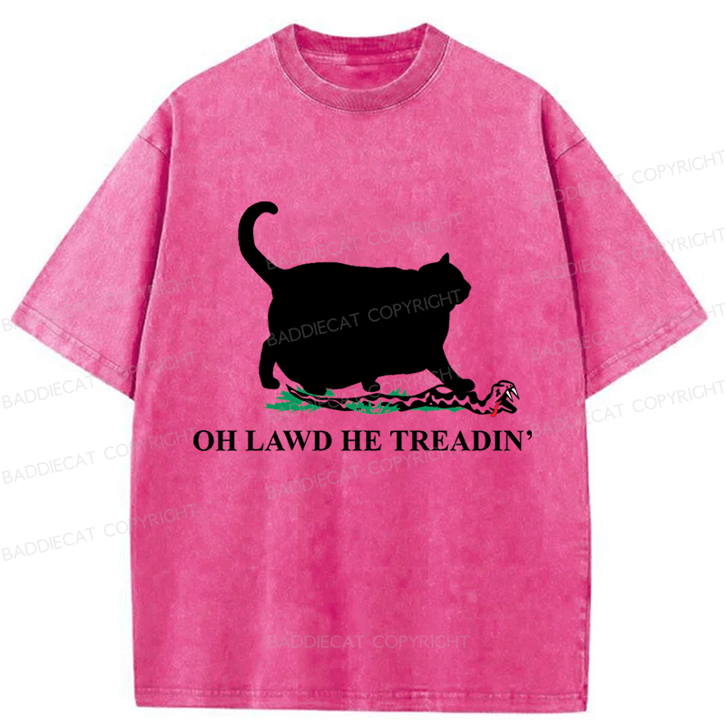 Baddiecat Oh Lawd He Treadin' Cat Washed T-shirt