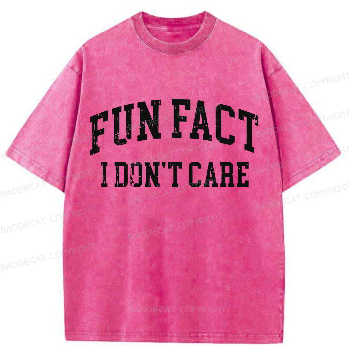 Baddiecat Fun Fact I Don't Care Washed T-shirt