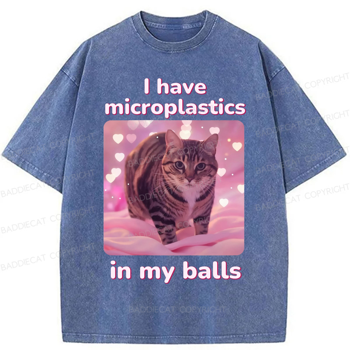 Baddiecat I have Microplastics In My Balls Washed T-shirt