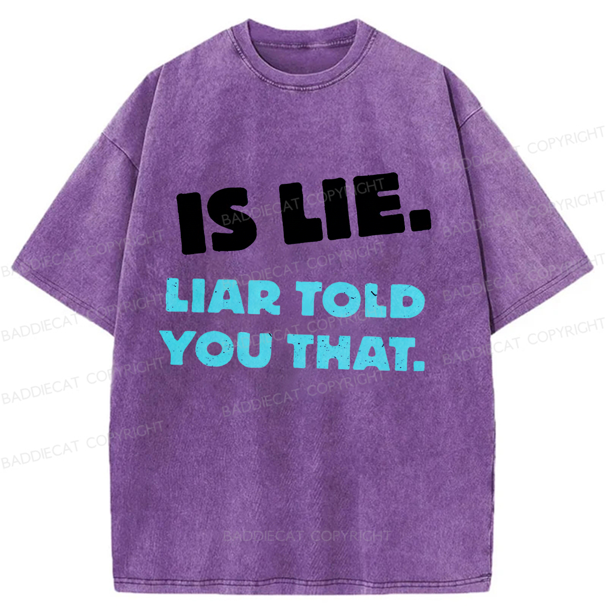 Baddiecat Is Lie Liar Told You That Washed T-shirt