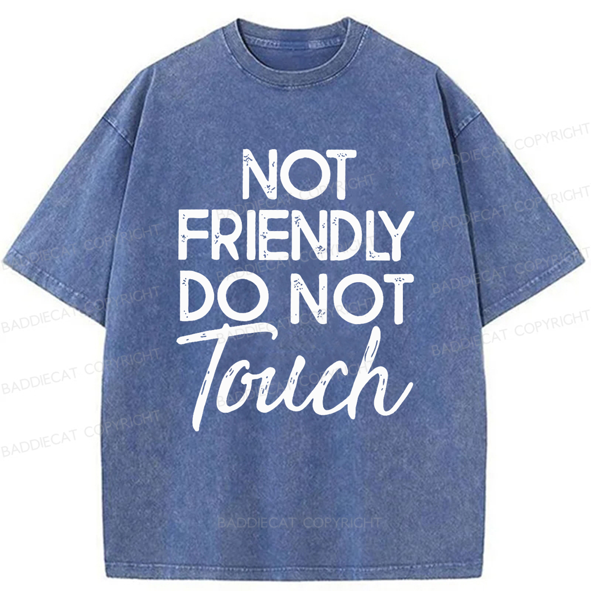 Baddiecat Not Friendly Do Not Touch Washed T-shirt