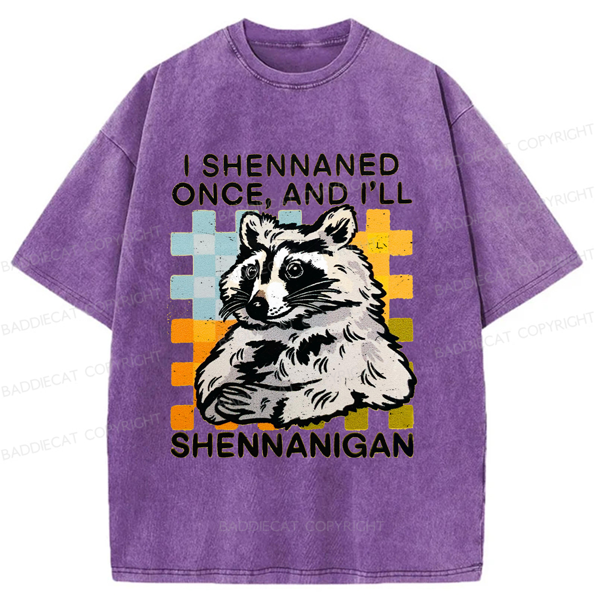 Baddiecat Mischievous Raccoon Washed T-shirt