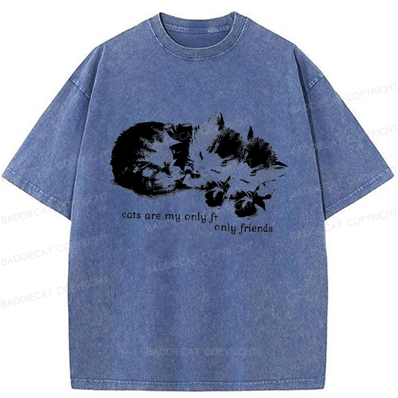 Baddiecat Cats Are My Only Friends Washed T-Shirt