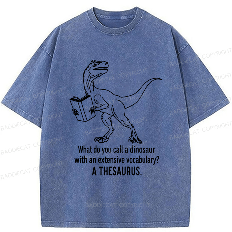Baddiecat A Thesaurus Washed T-shirt