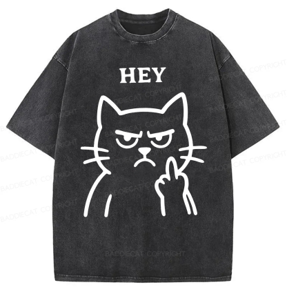 Baddiecat Hey Funny Cat Washed T-shirt