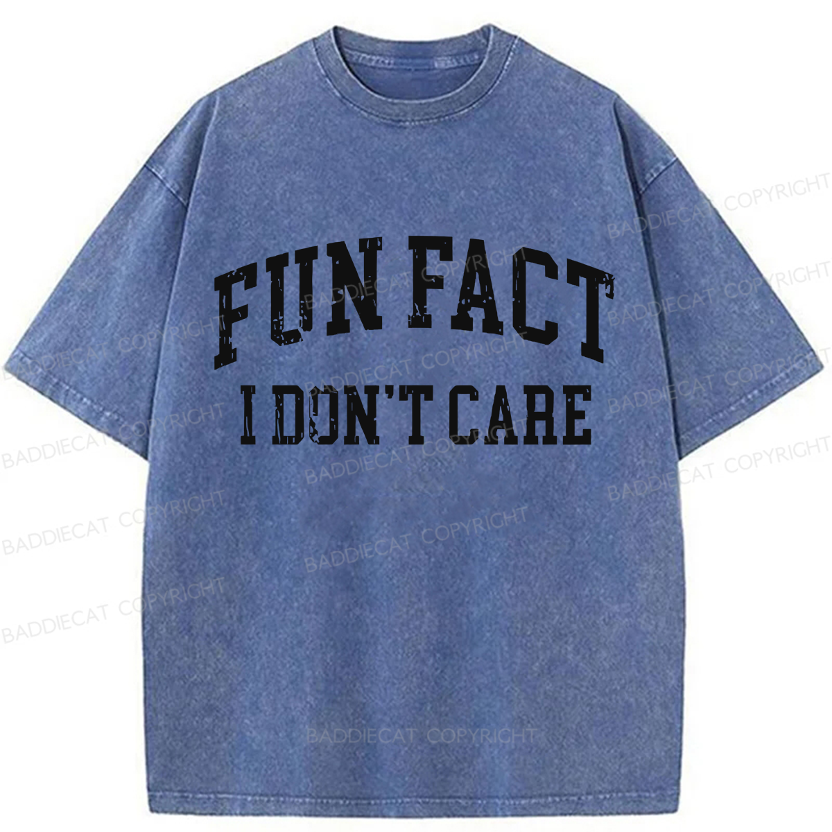 Baddiecat Fun Fact I Don't Care Washed T-shirt