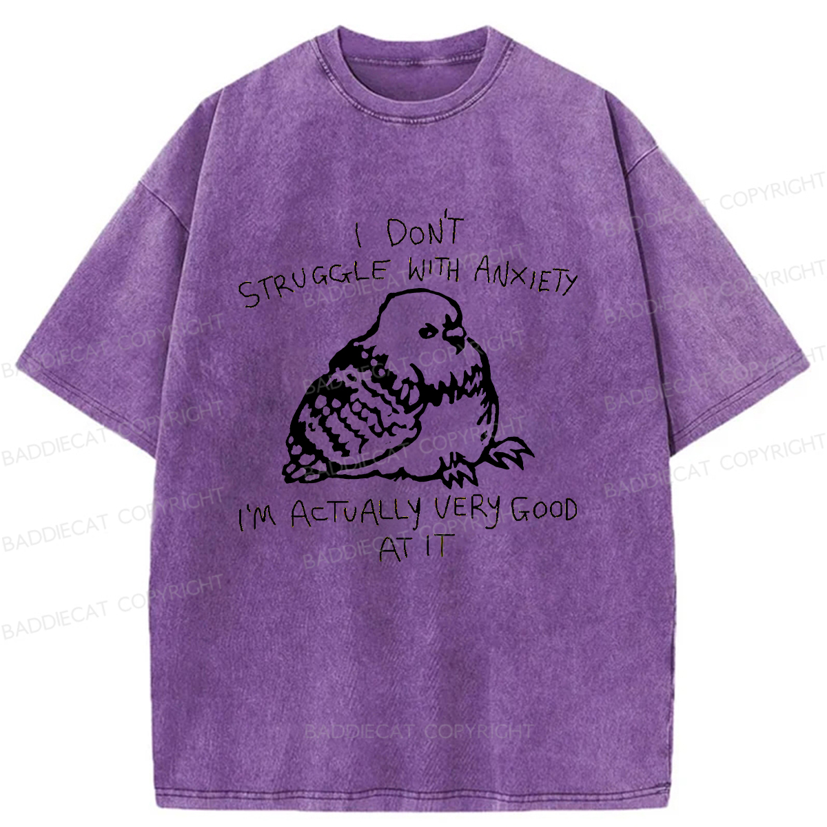 Baddiecat Anxious Pigeons Washed T-shirt