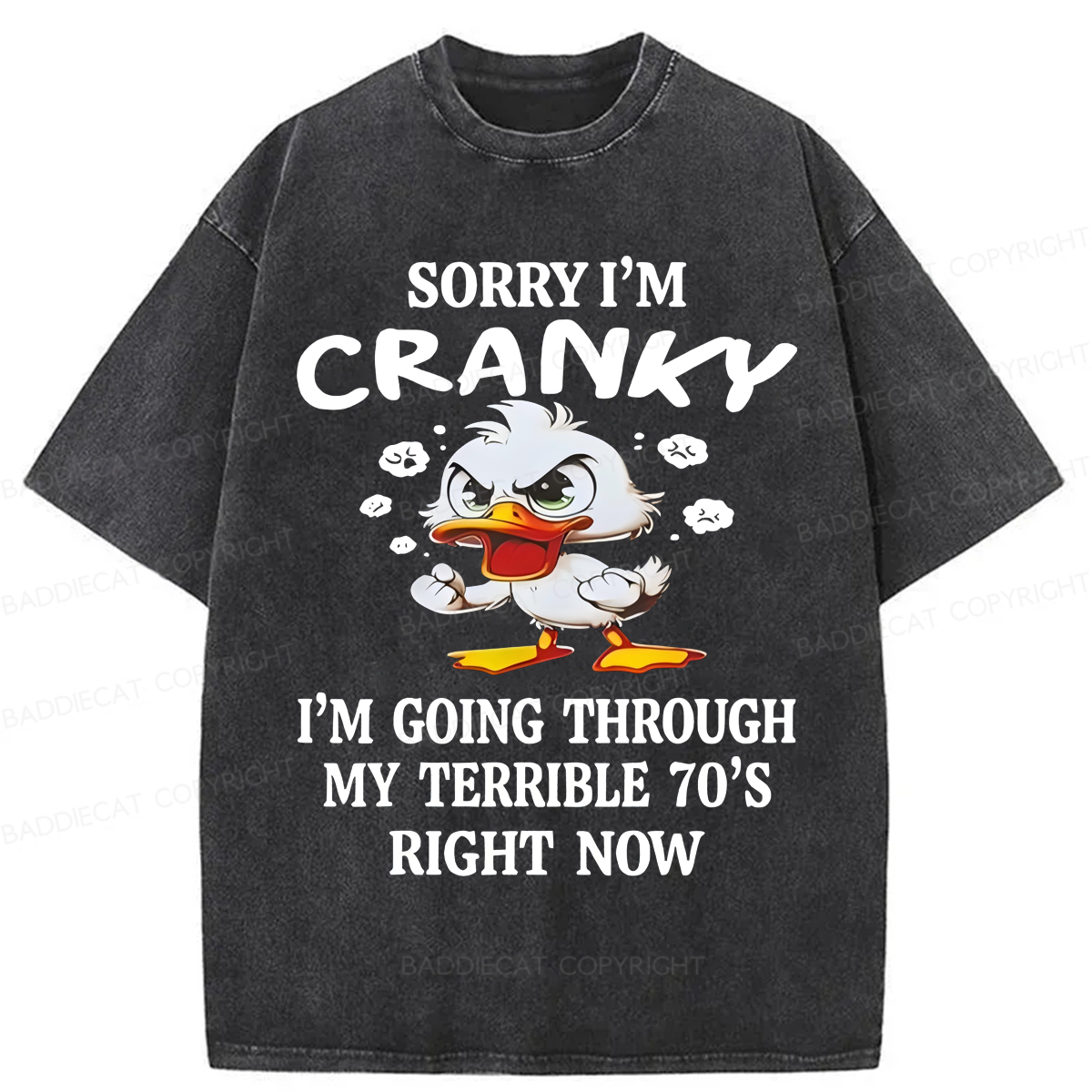 Baddiecat Sorry I'm Cranky Washed T-shirt