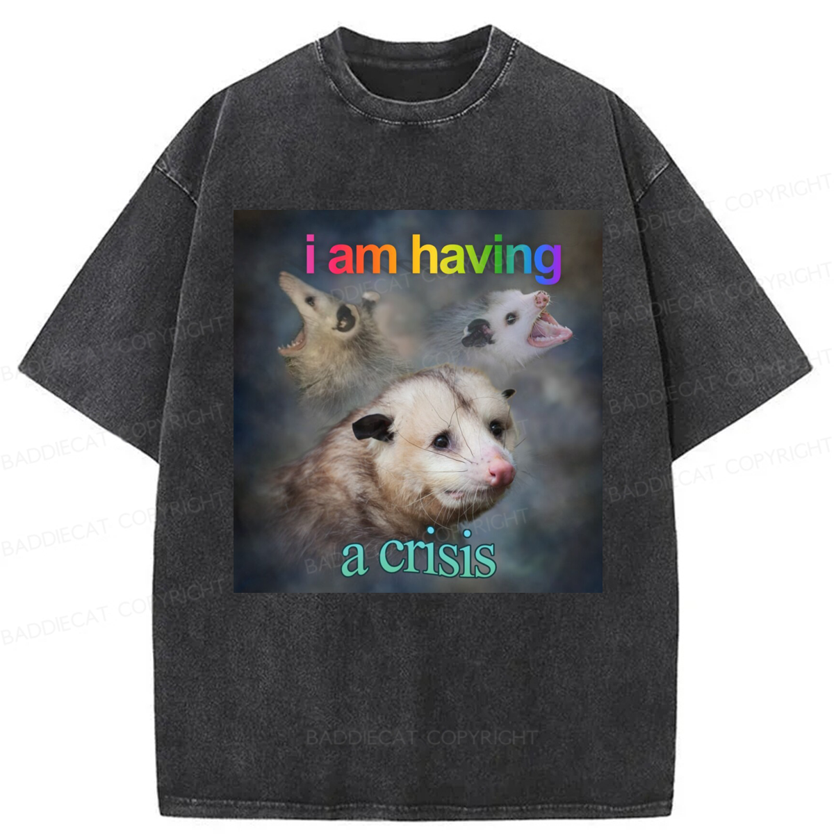 Baddiecat I Am Having A Crisis Possum Washed T-shirt