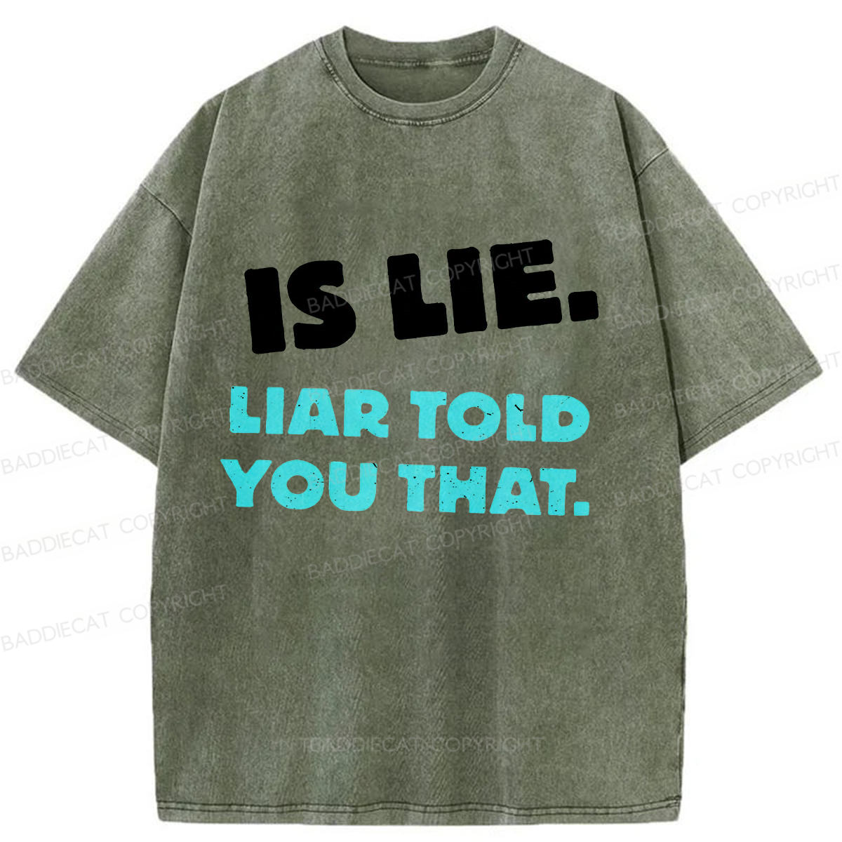 Baddiecat Is Lie Liar Told You That Washed T-shirt