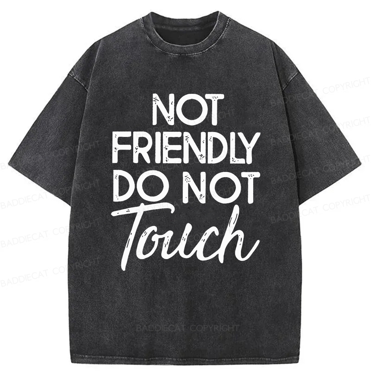 Baddiecat Not Friendly Do Not Touch Washed T-shirt