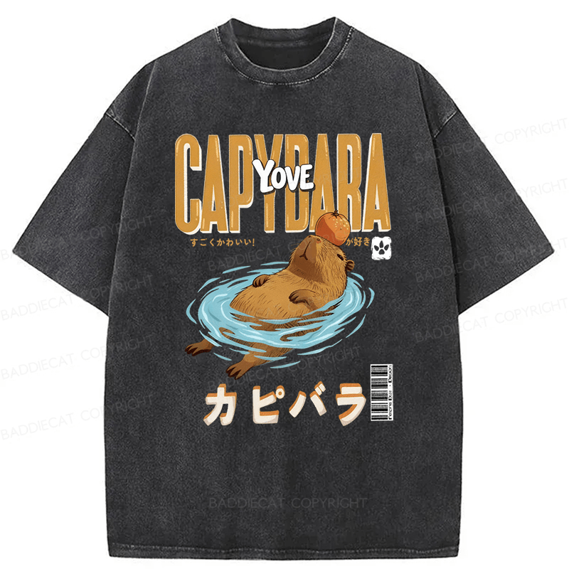 Baddiecat Capybara Funny Washed T-shirt