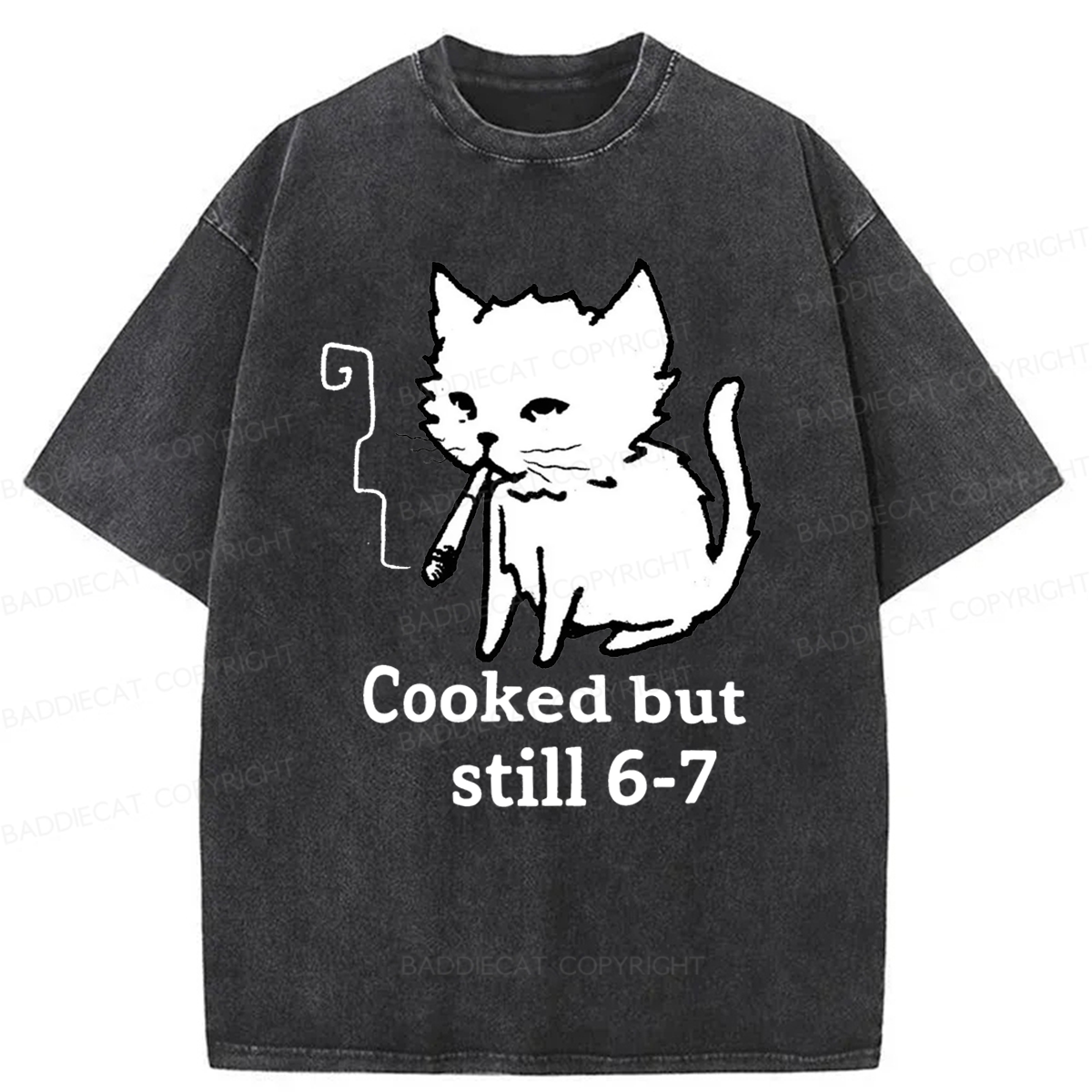 Baddiecat Cat Smoking Cooked But Still 6-7 Washed T-shirt