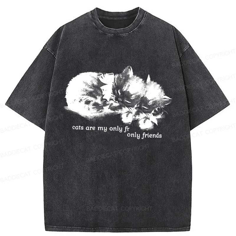 Baddiecat Cats Are My Only Friends Washed T-Shirt