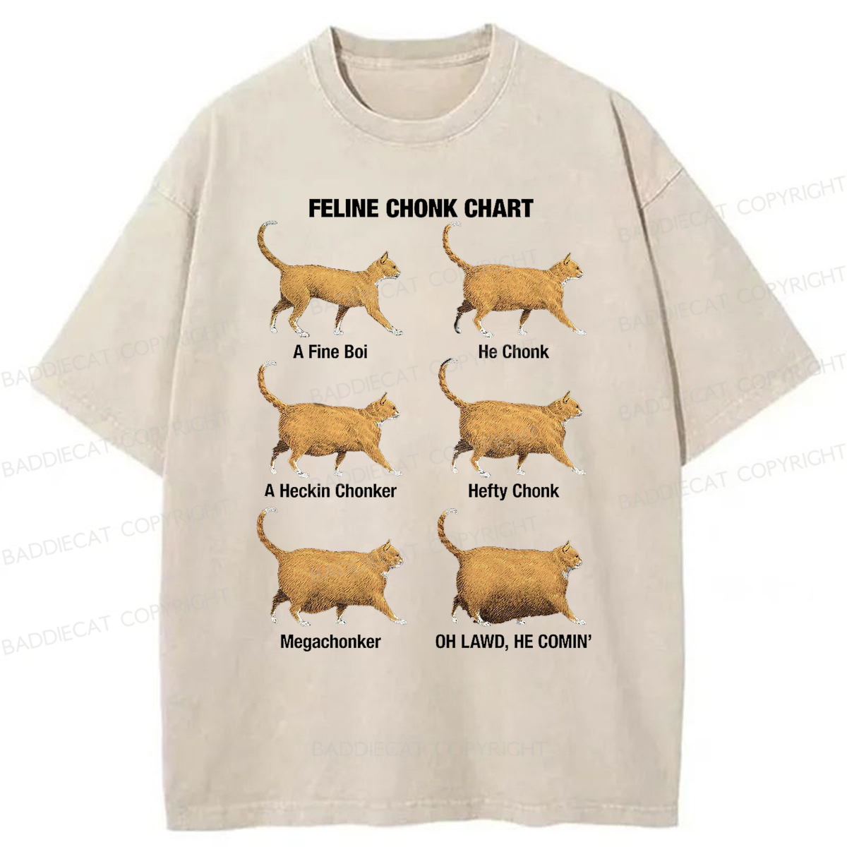 Baddiecat Chonky Cat Evolution Washed T-shirt