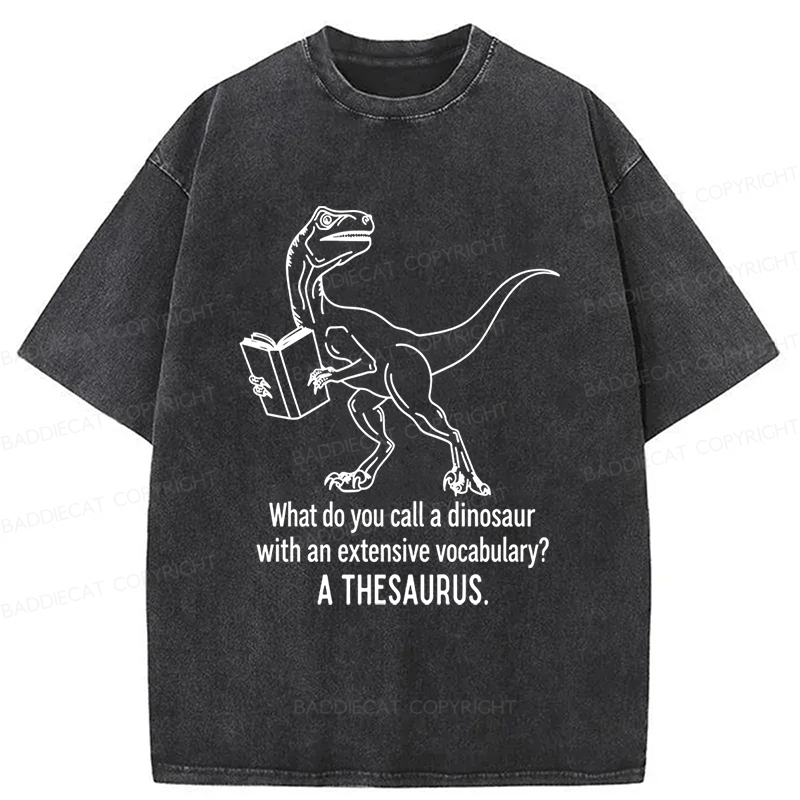 Baddiecat A Thesaurus Washed T-shirt