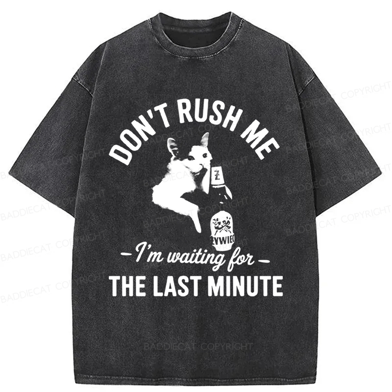 Baddiecat Cat Don't Rush Me Washed T-shirt