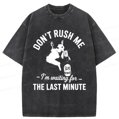 Baddiecat Cat Don't Rush Me Washed T-shirt