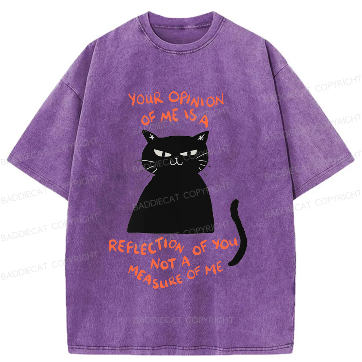 Baddiecat Examining Black Cat Washed T-shirt
