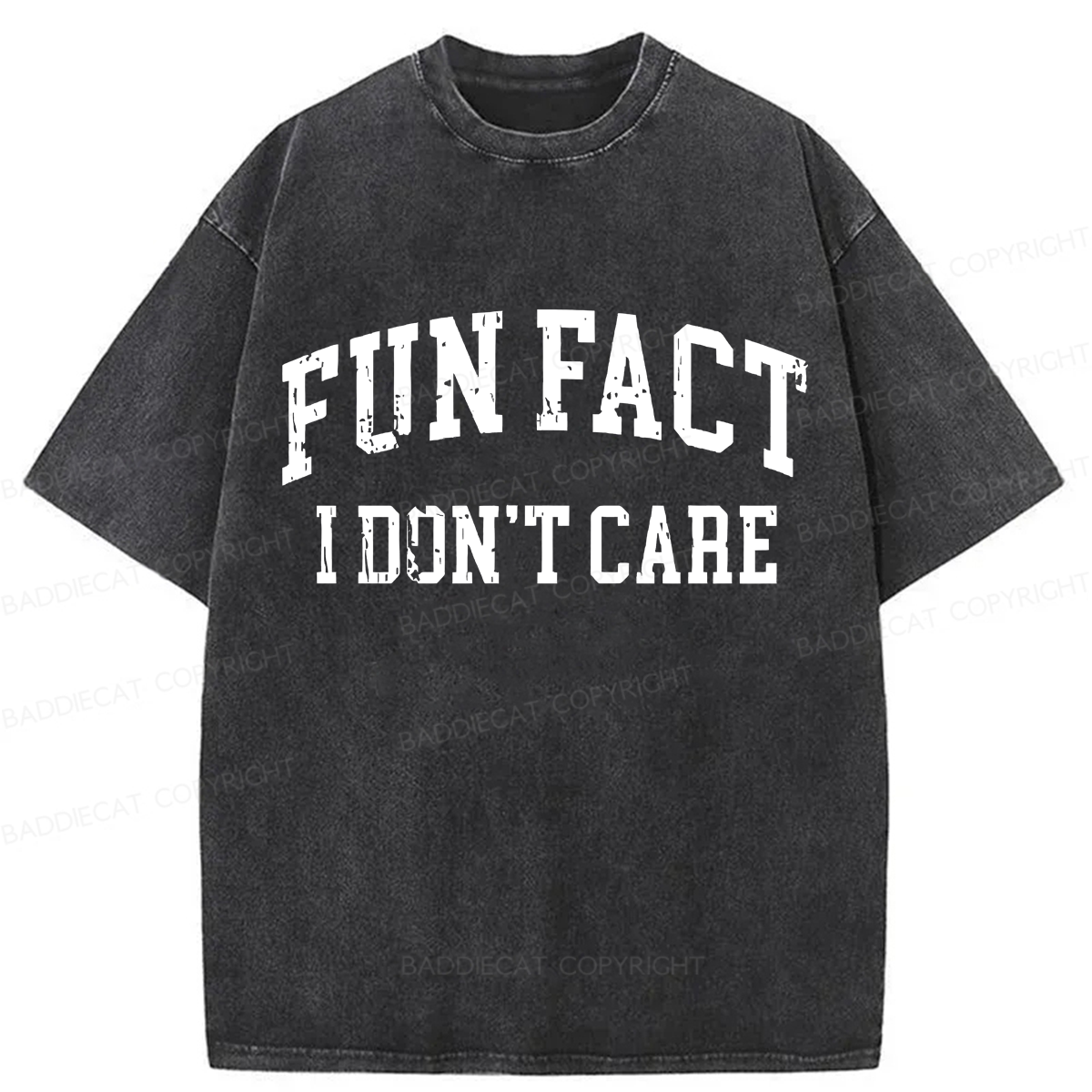 Baddiecat Fun Fact I Don't Care Washed T-shirt