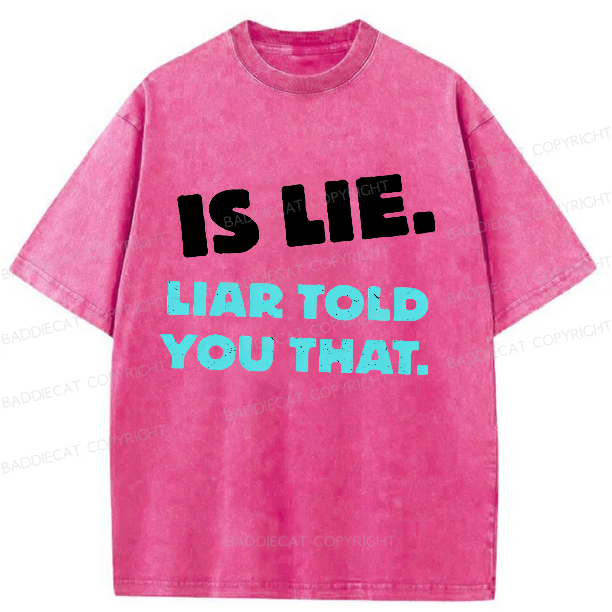 Baddiecat Is Lie Liar Told You That Washed T-shirt