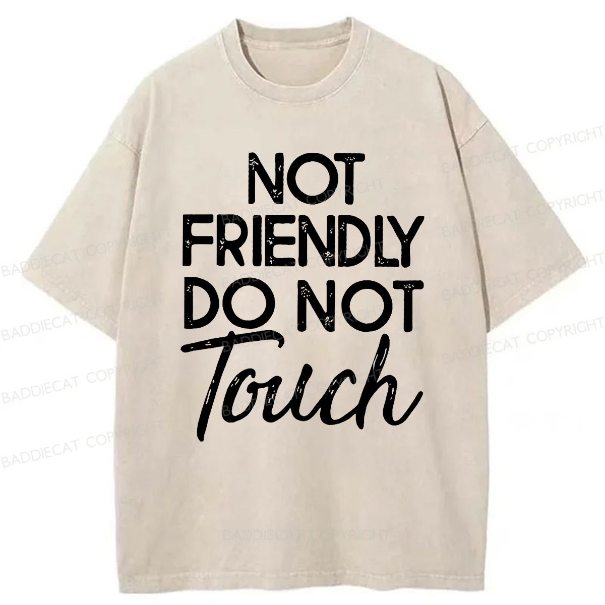 Baddiecat Not Friendly Do Not Touch Washed T-shirt