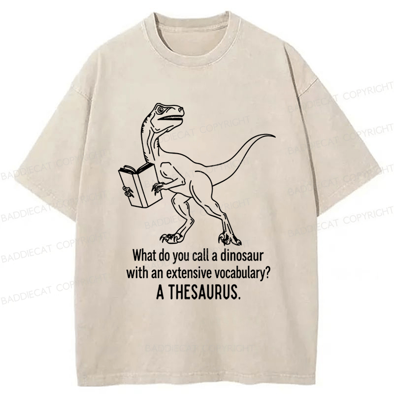 Baddiecat A Thesaurus Washed T-shirt
