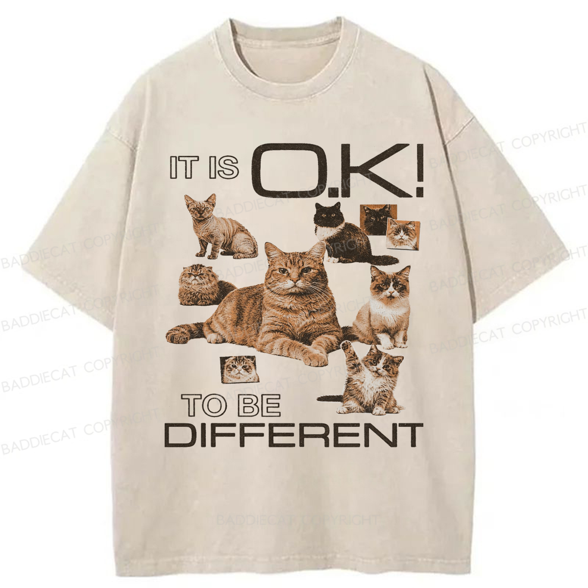 Baddiecat Cat It's Ok To Be Different Washed T-shirt