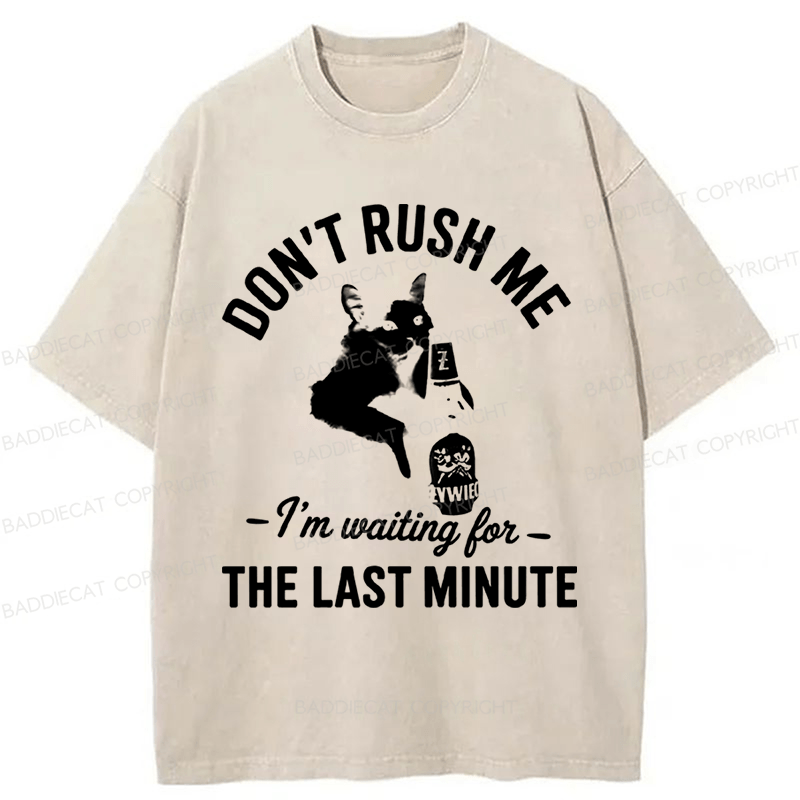 Baddiecat Cat Don't Rush Me Washed T-shirt