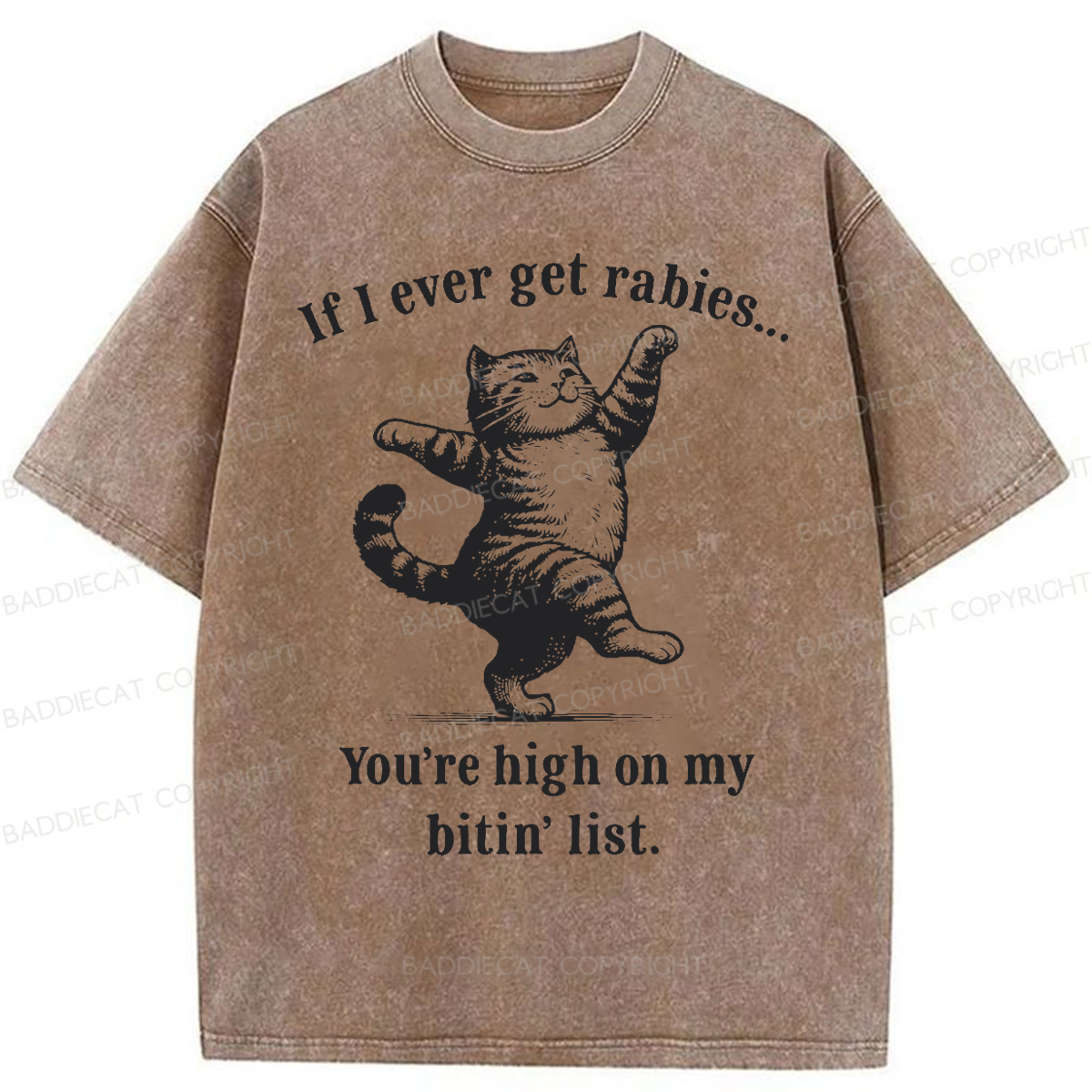 Baddiecat If I Ever Get Rabies You’re High On My Bitin’ List Washed T-shirt